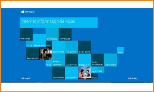 Windows 10系统下正确安装IIS互联网信息服务的详细步骤